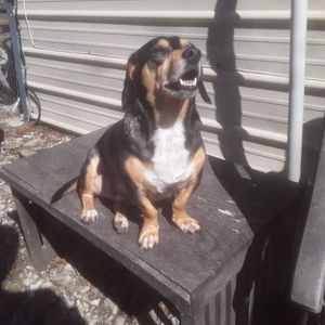 Meet your Posher, Tim